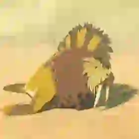 Sand Seal