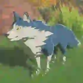 Maraudo Wolf