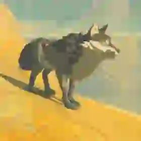 Wasteland Coyote