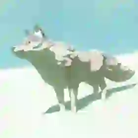 Cold-Footed Wolf