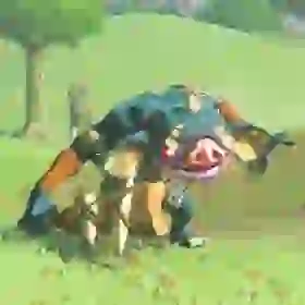 Blue Bokoblin