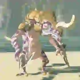 Silver Lizalfos