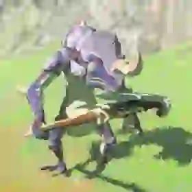 Blue Lizalfos