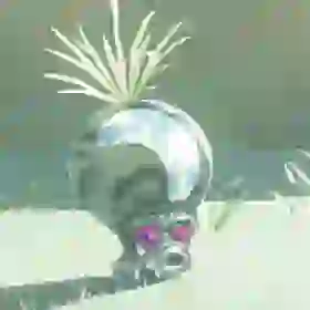 Snow Octorok