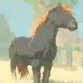 Giant Horse