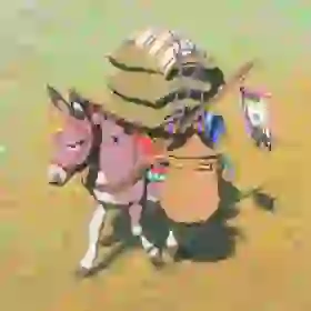 Donkey
