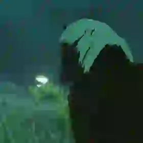 Epona