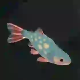 Stealthfin Trout