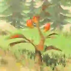 Spicy Pepper