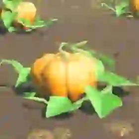 Fortified Pumpkin