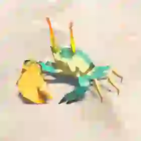 Razorclaw Crab