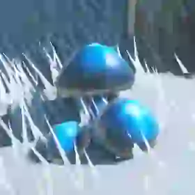 Chillshroom