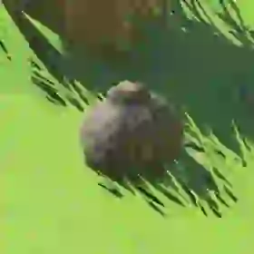 Hearty Truffle