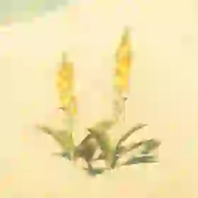 Electric Safflina