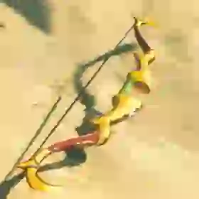 Golden Bow
