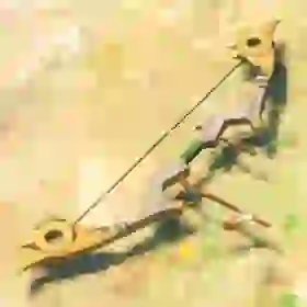 Falcon Bow