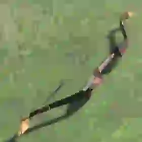 Phrenic Bow