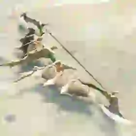 Steel Lizal Bow