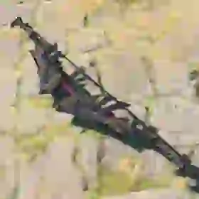 Royal Guard's Bow