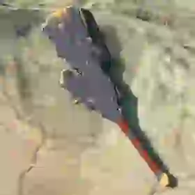 Moblin Club