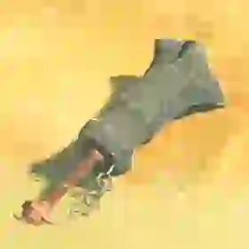 Lynel Crusher