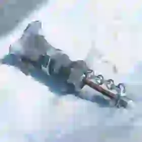 Mighty Lynel Crusher