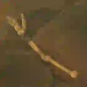 Moblin Arm