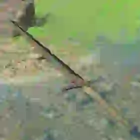 Rusty Claymore