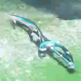 Silver Longsword