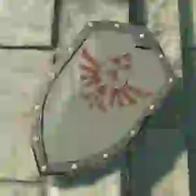 Knight's Shield