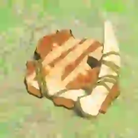 Spiked Boko Shield