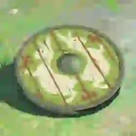 Hunter's Shield
