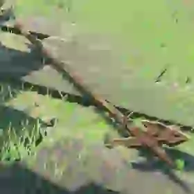 Rusty Halberd