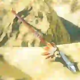 Feathered Spear