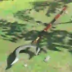 Serpentine Spear