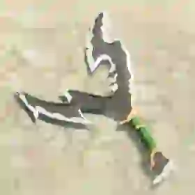 Lizal Forked Boomerang