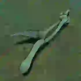 Lizalfos Arm