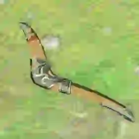 Boomerang