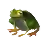 Hot-Footed Frog