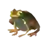 Tireless Frog