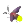 Sunset Firefly