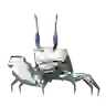 Bright-Eyed Crab