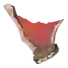 Molduga Fin
