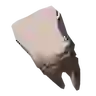 Hinox Tooth
