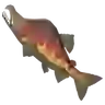 Hearty Salmon