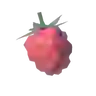 Wildberry