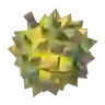 Hearty Durian
