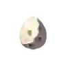Bird Egg