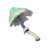 Silent Shroom