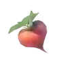 Hearty Radish